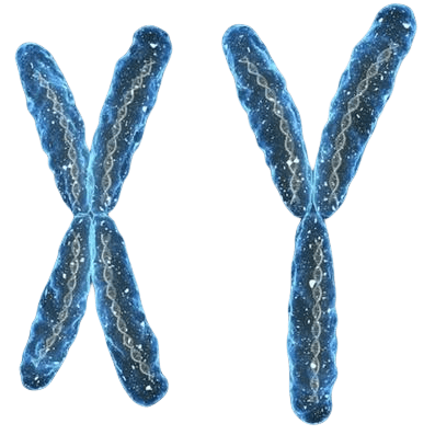 海口捐卵联系方式